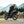 Morbidelli T125X