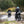 Morbidelli T125X