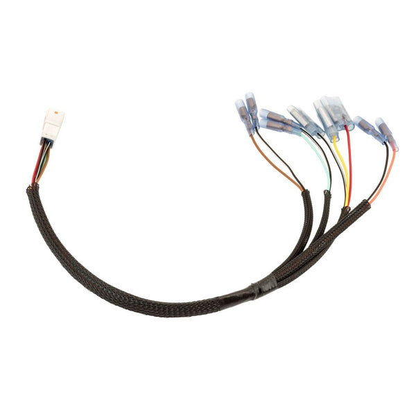Motone Speed Twin Eur5 1200 Plug and Play MULTI Wiring Harness Adapter