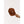Motone SCORPION Cord Cap - Brown