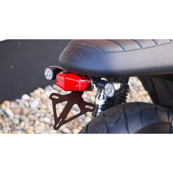 Motone Tail Tidy LC