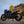 Motone Tail Tidy Kit Street Twin/Street Scrambler/T100/T120 - ELDORADO
