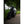 Motone the CLAW - Number Plate Hanger - Horizontal Plate