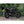 Motone Love Handle - Black