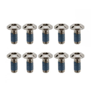 Motone Brake Rotor Bolts - Aircooled (x10) - Titanium Natural Finish