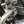 Motone Yamaha XS650 Big Fin Exhaust Clamps