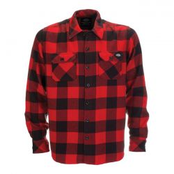DICKIES NEW SACRAMENTO SHIRT