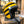 Hedon Helmet - Hedonist - Bumblebee